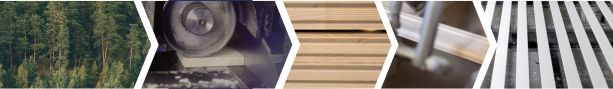 Pine selection, defect removal, finger-jointing and factory coating